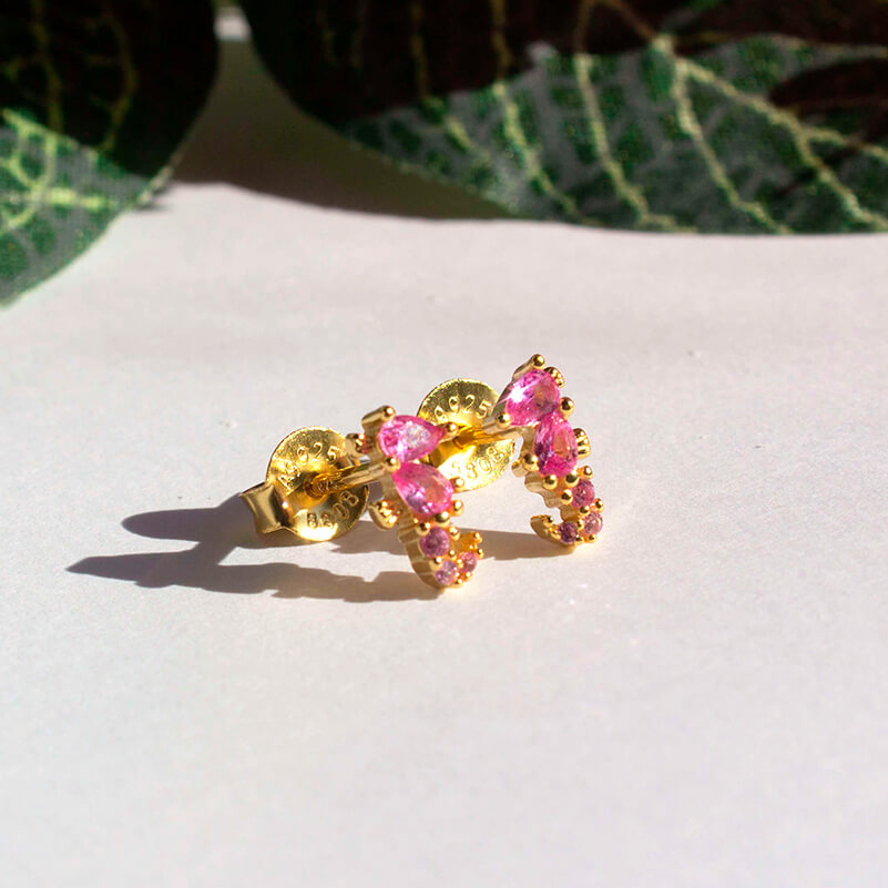 pendientes-caballitodemar-veronnajoyas
